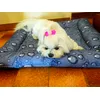 Letto rinfrescante 