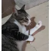 A Juanillo le encanta  
