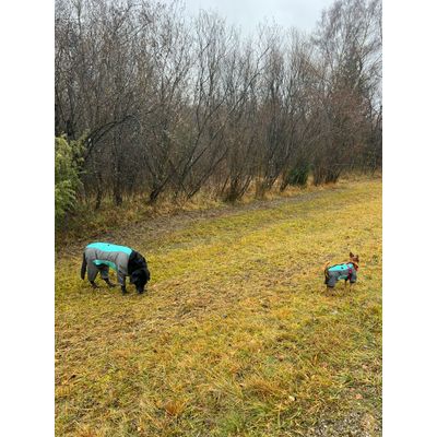 Partnerlook