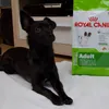 ruby LIEBT royal canin :)