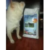 momo and her new food