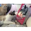 Los peques lo adoran