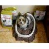 Bounty et ses croquettes
