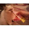 lecker taurin paste