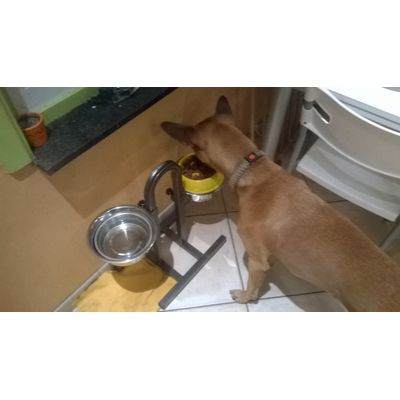 Premier repas de Moka avec son porte gamelle