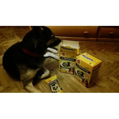 DentaStix Fresh
