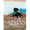 Coperta resistente 