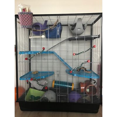 La cage de Caramel et Tom