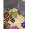 Hemp bedding