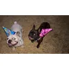 Bday party