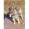 Kong Snack-Ball