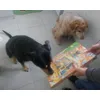 Giving Advent calendar