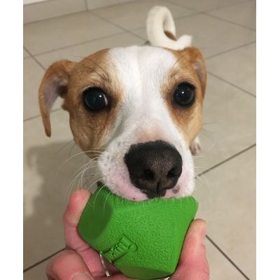 Jack