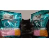 Purina one