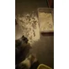 La spiaggia in casa
