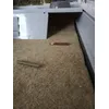 Tapis lapin