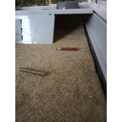 Tapis lapin