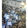 Lilinka a jej sushi snack