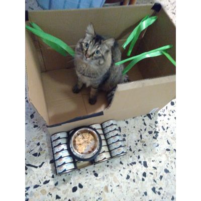 mangio e gioco