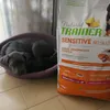 Natural trainer sensitive puppy junior salmone
