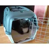 My cat Riki