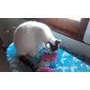 grazie mamma