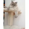 Relax