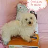 Miss Milky e le Natural Trainer