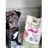 Borys Bully XL