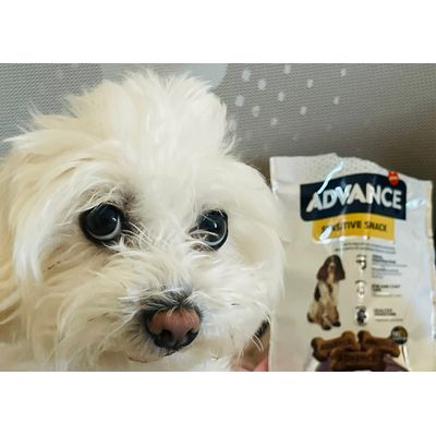 Aaron e i suoi biscotti preferiti