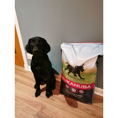 Marlo 6 months