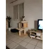 Pongo qui se prend pour un chat 