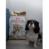 Royal Canin CKC