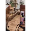 High five