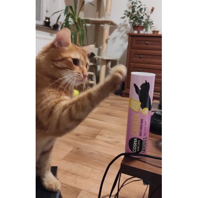 High five