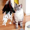 Like a bird