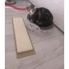 Rewelacja 