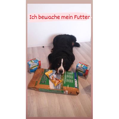 Futter