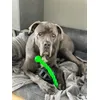 Happy Thor 