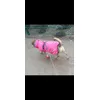 Super Regenjacke