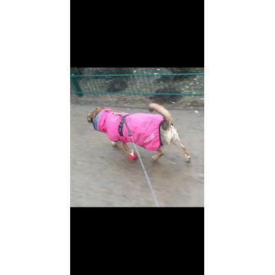 Super Regenjacke