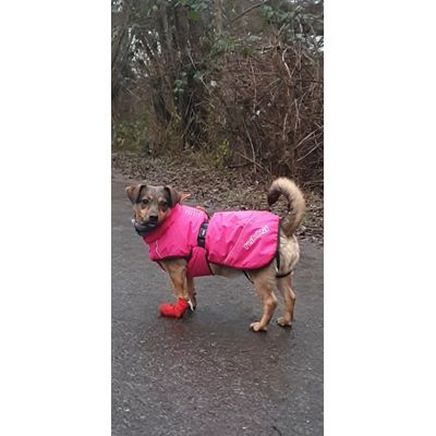 Super Regenjacke