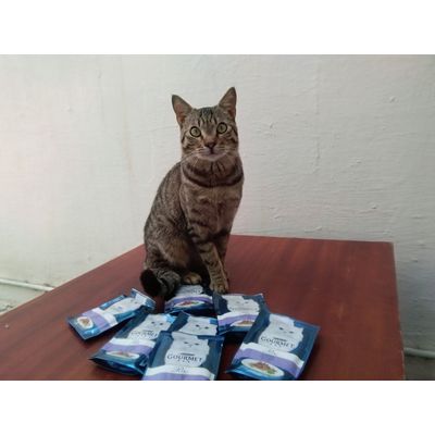 Athucarillo un grand gourmand