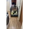 Bella v kleci