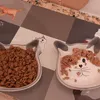 Ciotole gatto bellissime