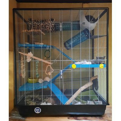 Cage Savic 3