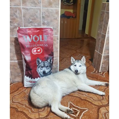 Shewolf