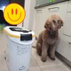 Lucky lubi nowy pojemnik  