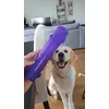 Mi perro lo adora