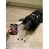 Jupp mag sie